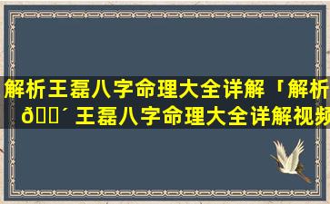 解析王磊八字命理大全详解「解析 🌴 王磊八字命理大全详解视频」